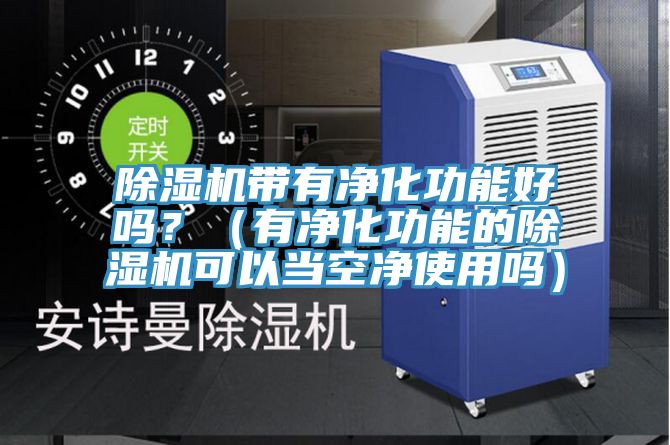 除濕機帶有凈化功能好嗎？（有凈化功能的除濕機可以當空凈使用嗎）