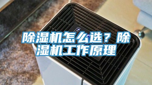 除濕機怎么選?除濕機工作原理