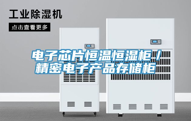 電子芯片恒溫恒濕柜/精密電子產品存儲柜