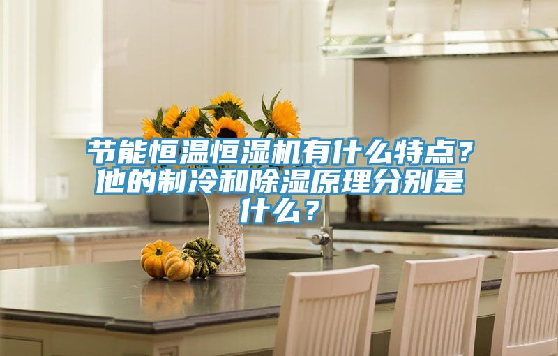 節能恒溫恒濕機有什么特點?他的制冷和除濕原理分別是什么?