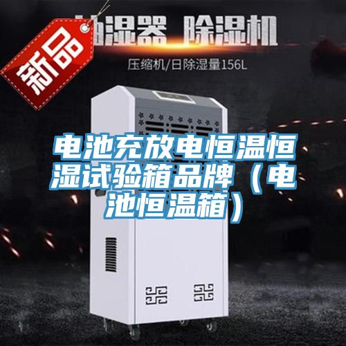 電池充放電恒溫恒濕試驗(yàn)箱品牌(電池恒溫箱)
