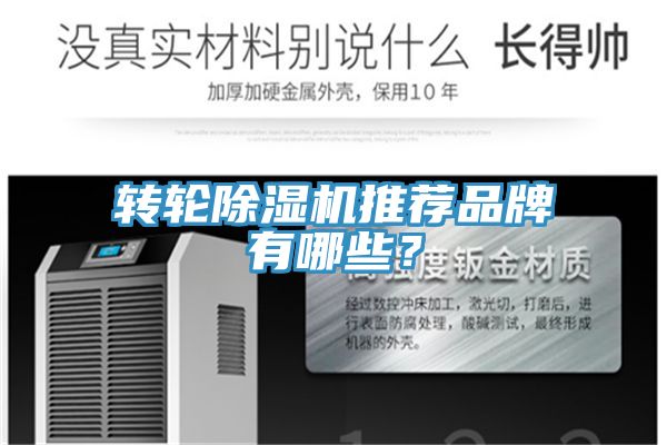 轉輪除濕機推薦品牌有哪些？