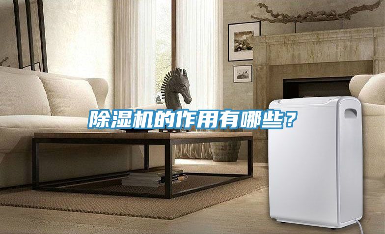 除濕機的作用有哪些?
