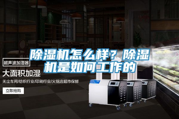 除濕機怎么樣？除濕機是如何工作的