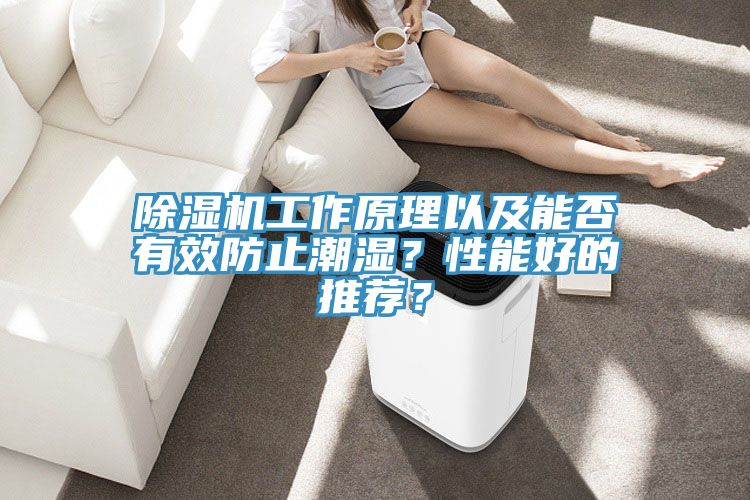 除濕機工作原理以及能否有效防止潮濕？性能好的推薦？