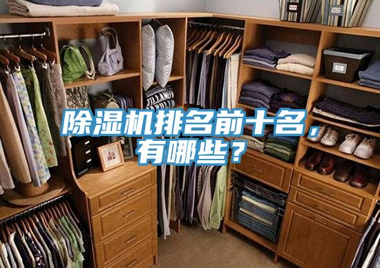 除濕機排名前十名，有哪些？