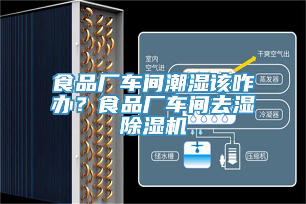 食品廠車間潮濕該咋辦？食品廠車間去濕除濕機