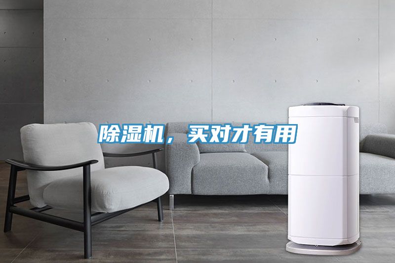 除濕機，買對才有用