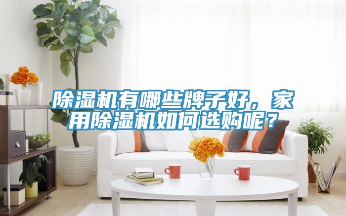 除濕機有哪些牌子好，家用除濕機如何選購呢？