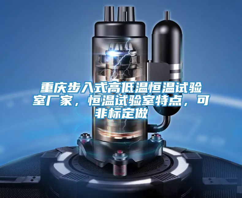 重慶步入式高低溫恒溫試驗(yàn)室廠(chǎng)家，恒溫試驗(yàn)室特點(diǎn)，可非標(biāo)定做