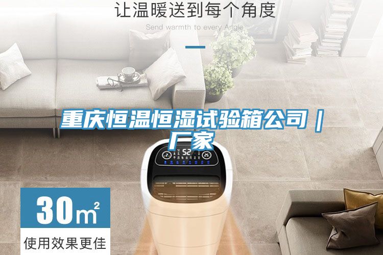 重慶恒溫恒濕試驗(yàn)箱公司｜廠(chǎng)家