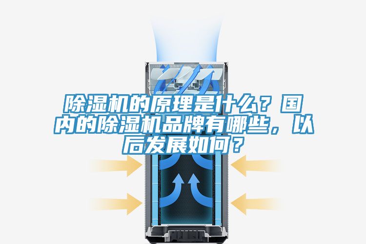 除濕機的原理是什么？國內的除濕機品牌有哪些，以后發展如何？
