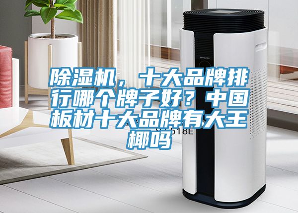 除濕機，十大品牌排行哪個牌子好？中國板材十大品牌有大王椰嗎