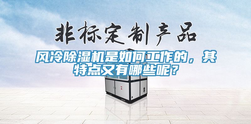 風(fēng)冷除濕機(jī)是如何工作的,其特點(diǎn)又有哪些呢?