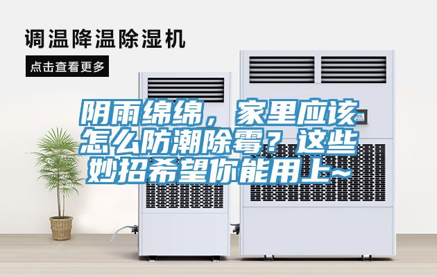 陰雨綿綿，家里應該怎么防潮除霉？這些妙招希望你能用上~