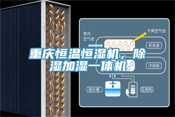 重慶恒溫恒濕機,除濕加濕一體機